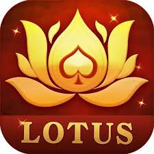 rummy golds apk download